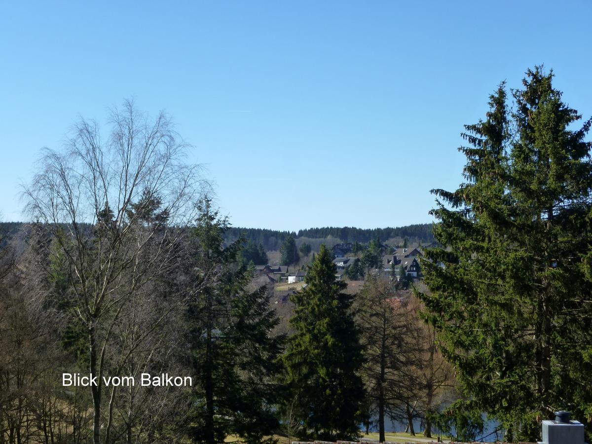 Weitblick Am Kurpark Apartment Braunlage